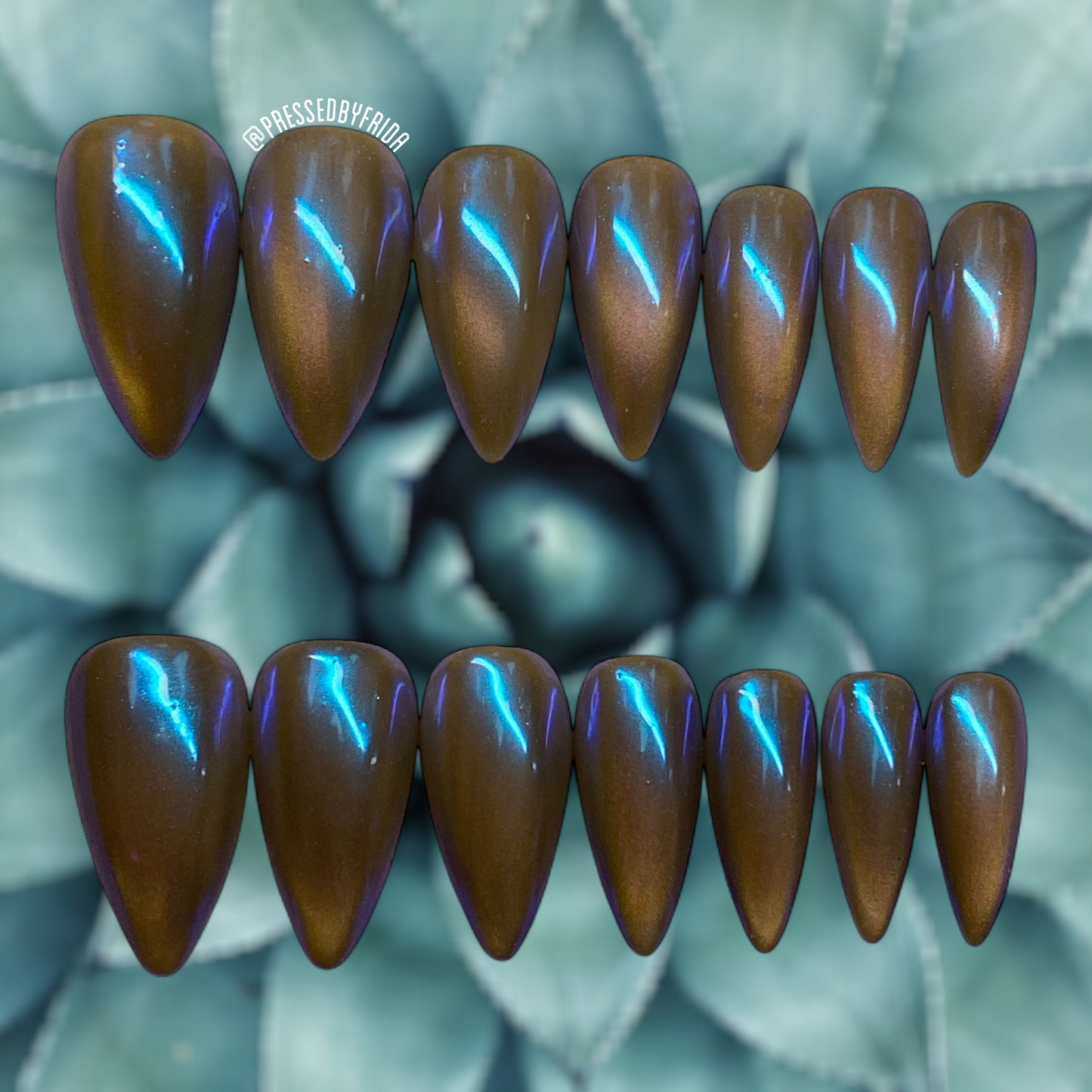 Desert Blues