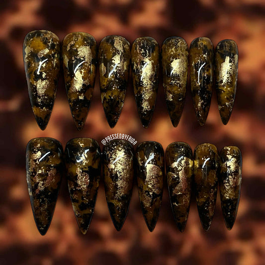 Tortoise Shell